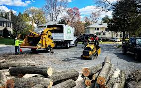 Reliable Columbia, CA  Tree Services Solutions