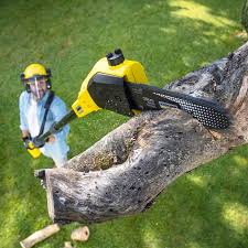 Best Hazardous Tree Removal  in Columbia, CA